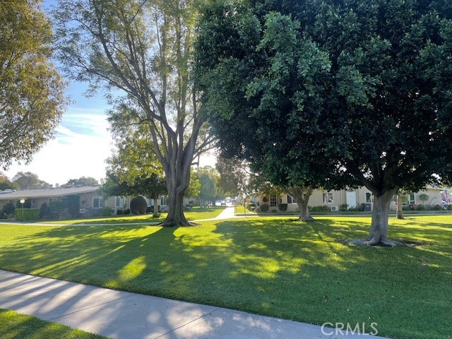 1260 Northwood 164-D