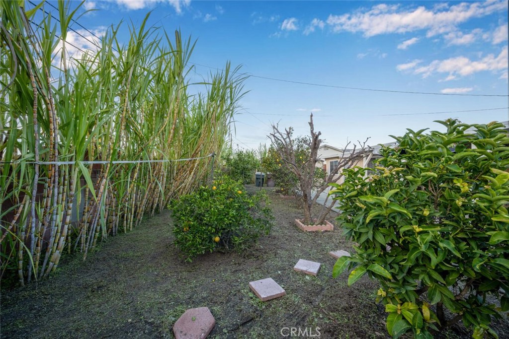 11721 Palmwood Drive