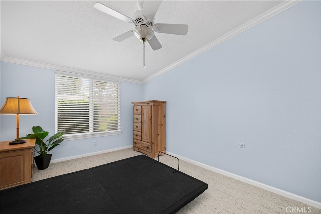 13210 Seaview 250L