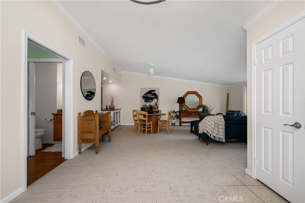 13210 Seaview 250L