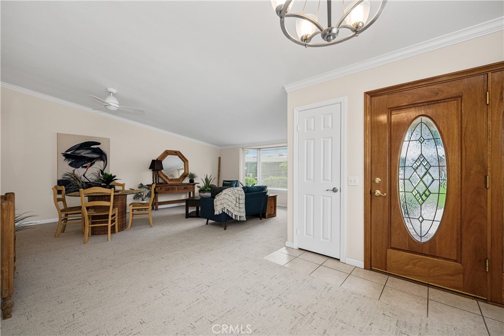 13210 Seaview 250L