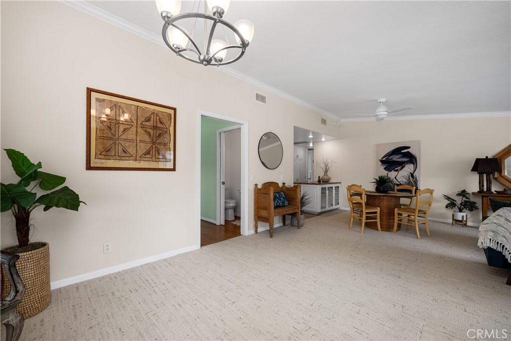 13210 Seaview 250L