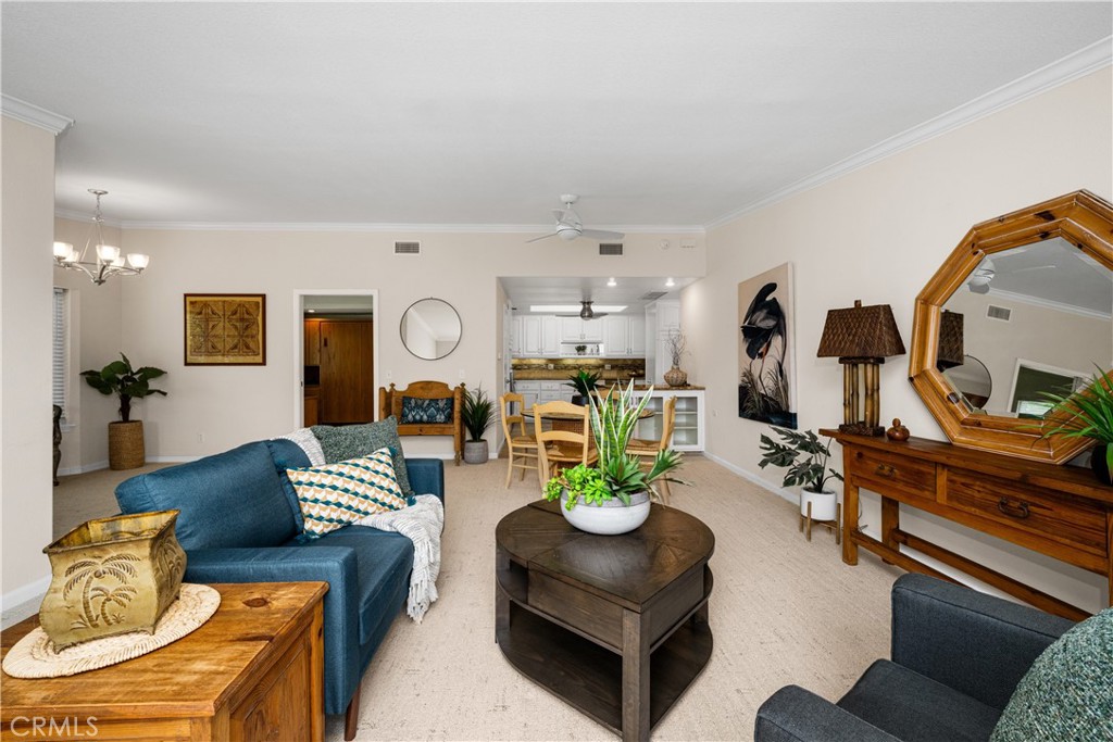 13210 Seaview 250L