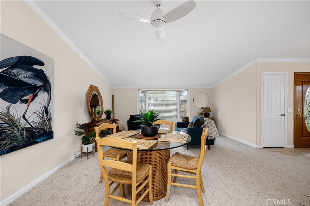 13210 Seaview 250L