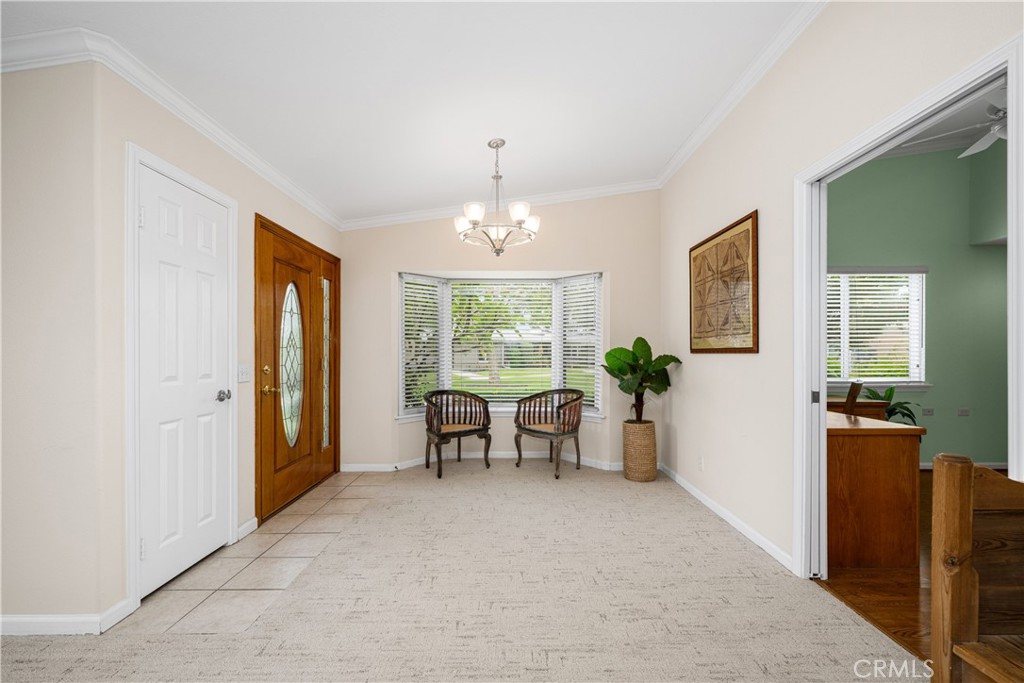 13210 Seaview 250L
