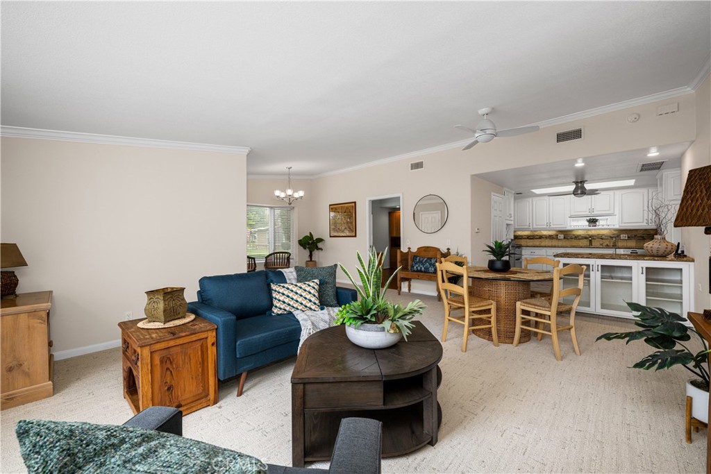 13210 Seaview 250L