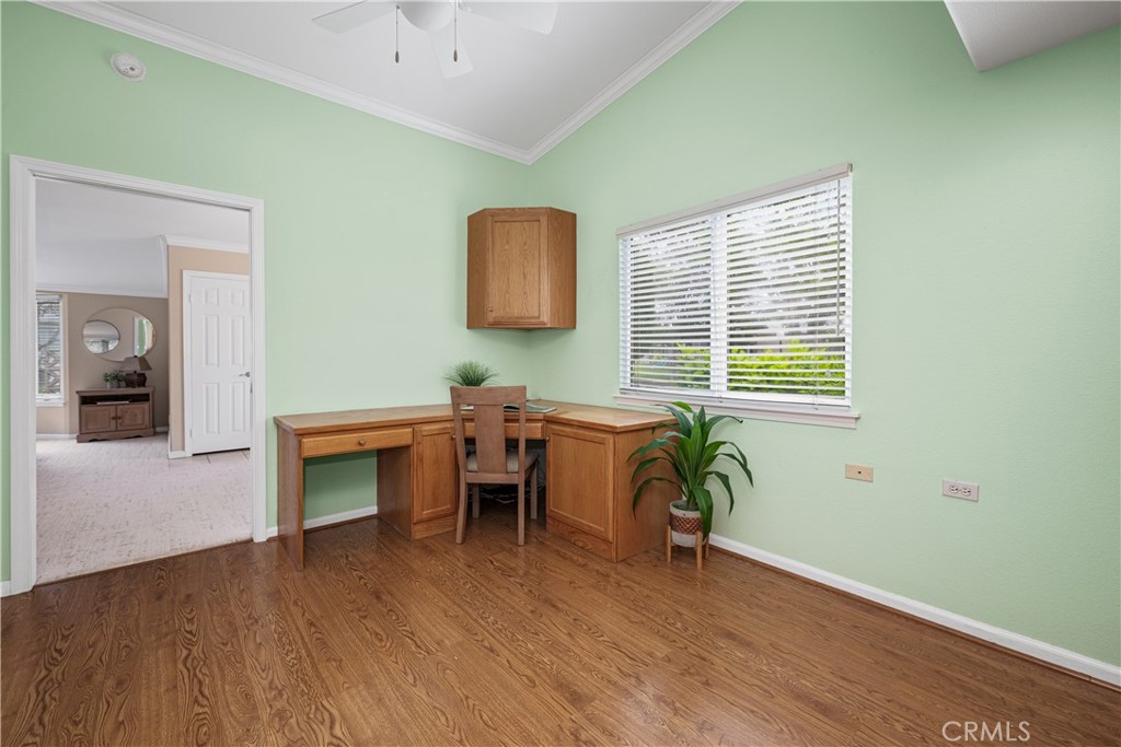 13210 Seaview 250L