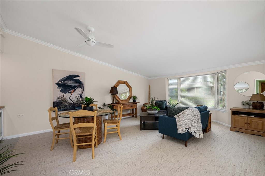 13210 Seaview 250L