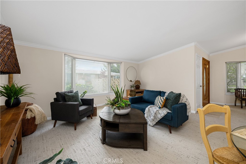 13210 Seaview 250L