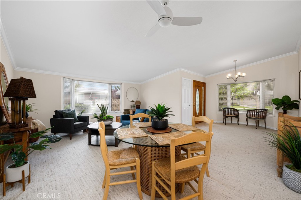 13210 Seaview 250L