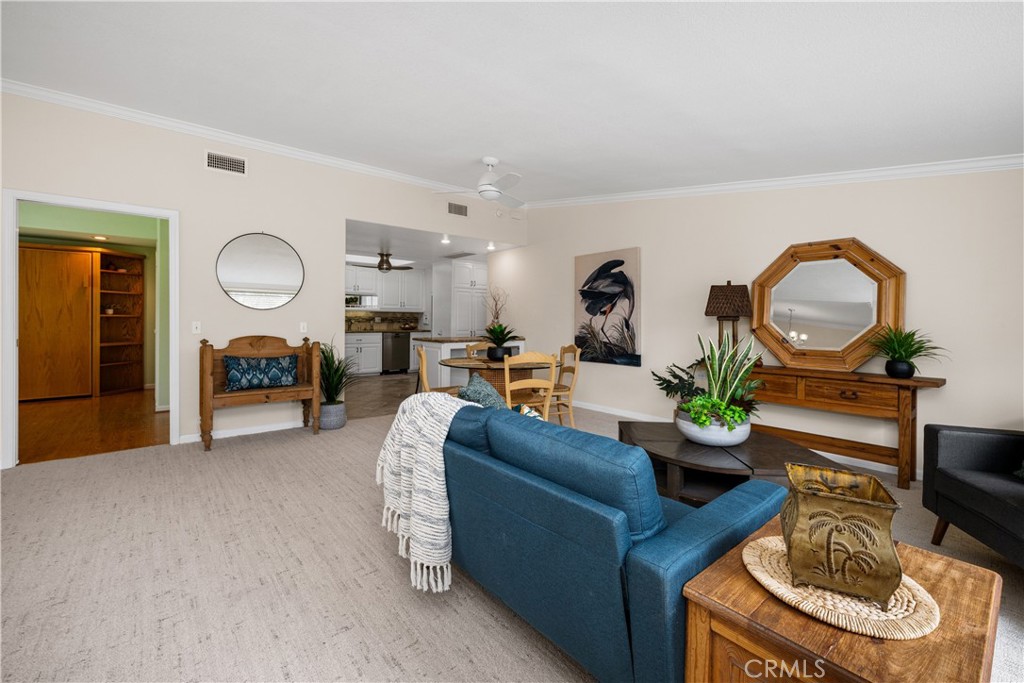 13210 Seaview 250L