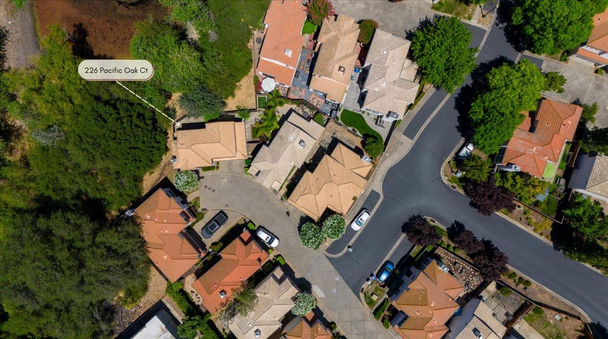 226 Pacific Oak Court