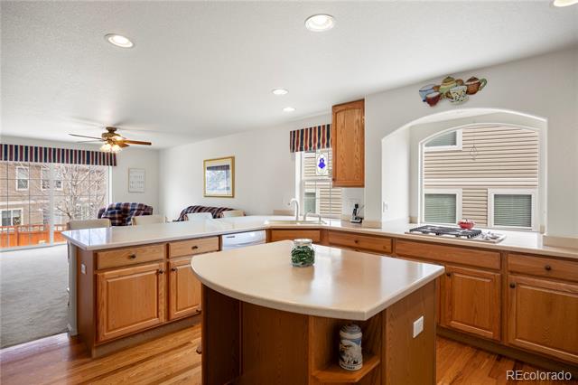 2085 Cactus Bloom Court
