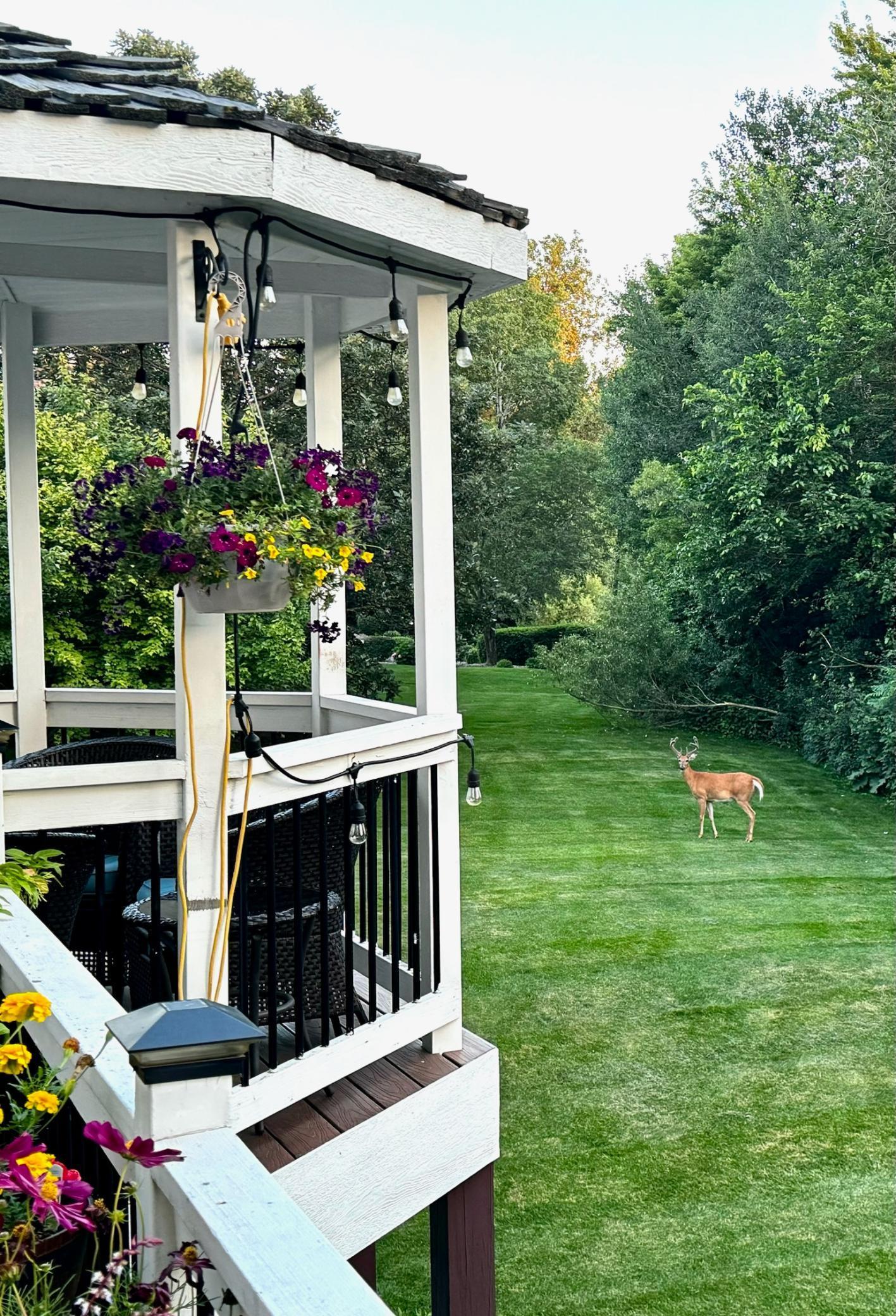 7600 Delaney Boulevard