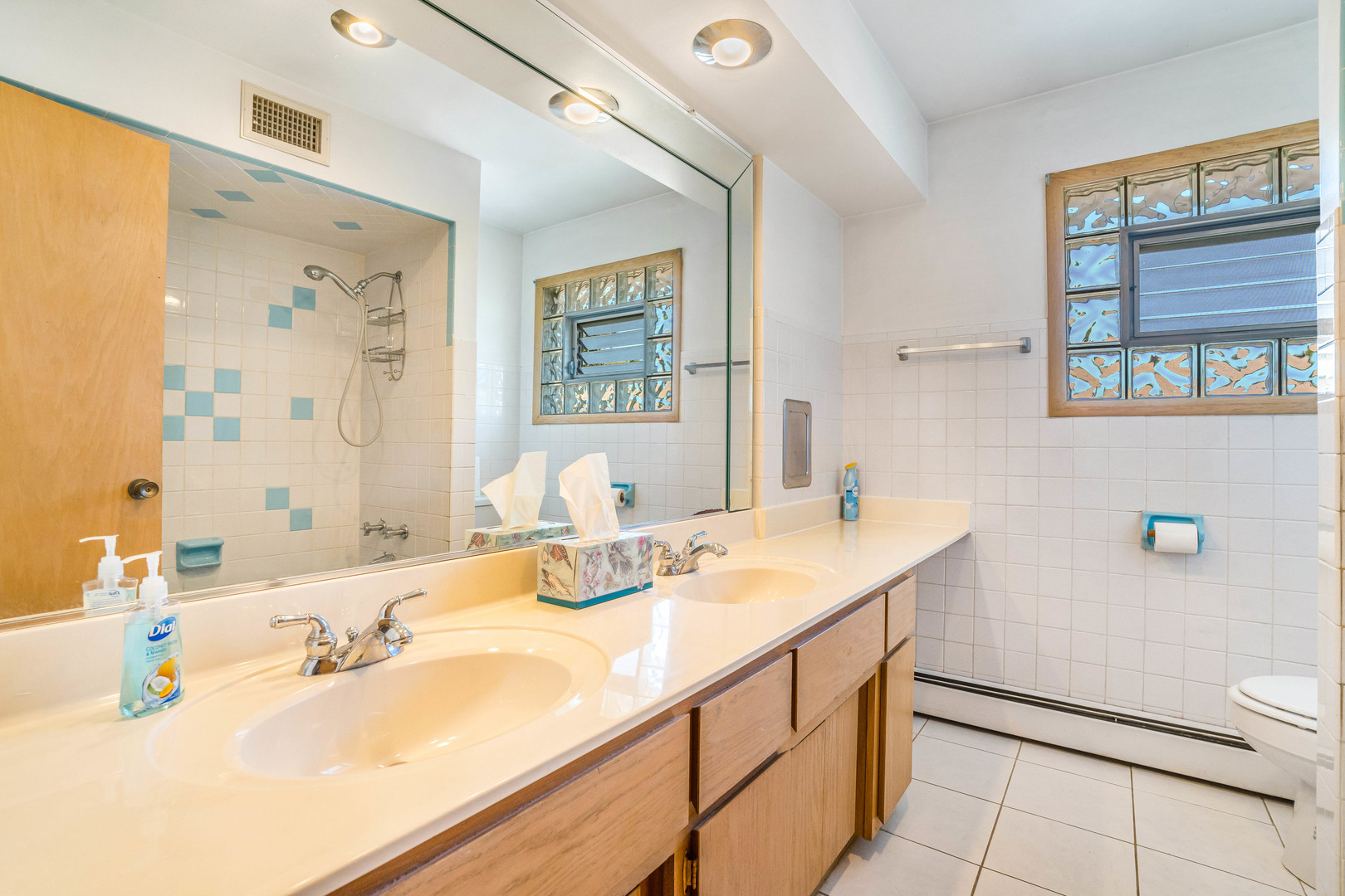 10036 S Kolin Avenue