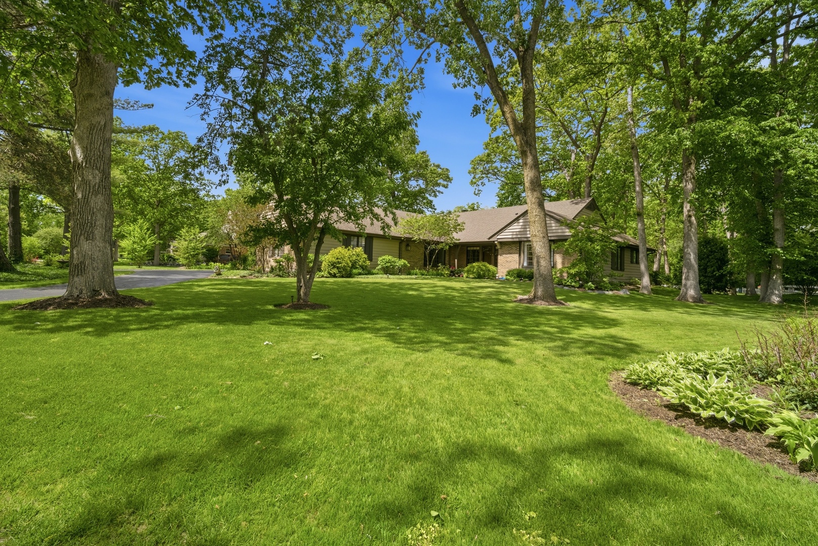 206 Surrey Lane