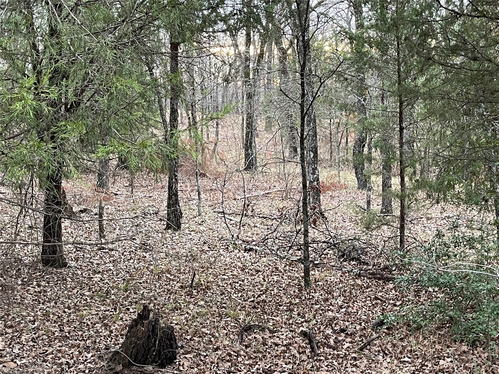 7327 Ranch Oaks Trail