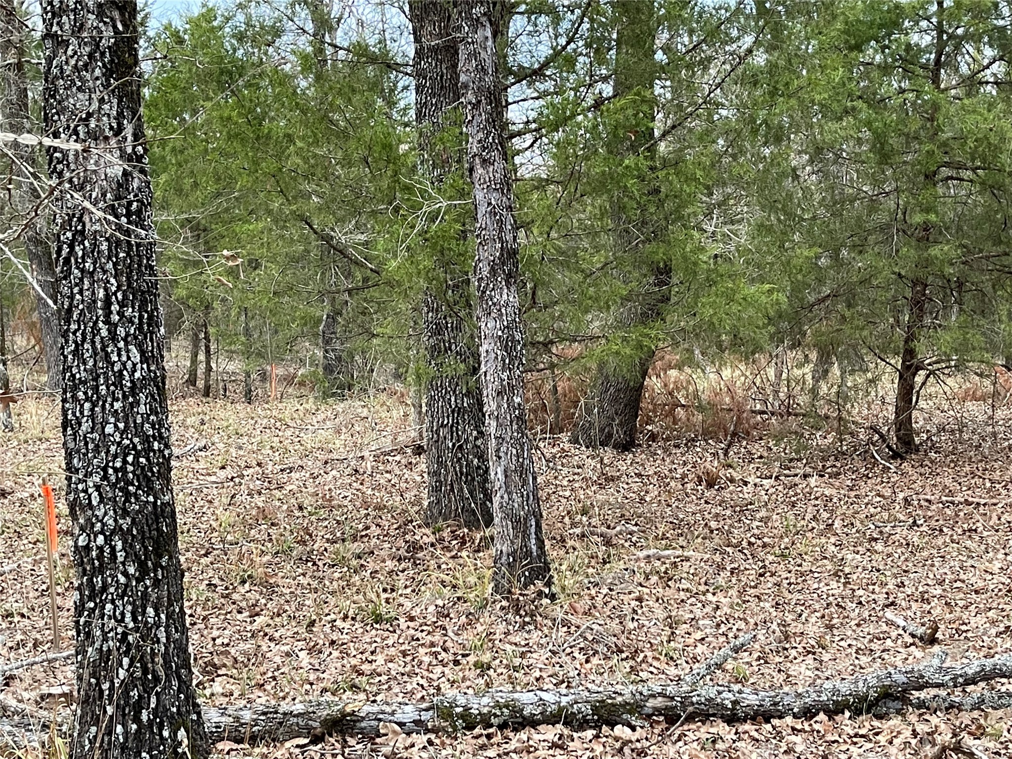 7327 Ranch Oaks Trail