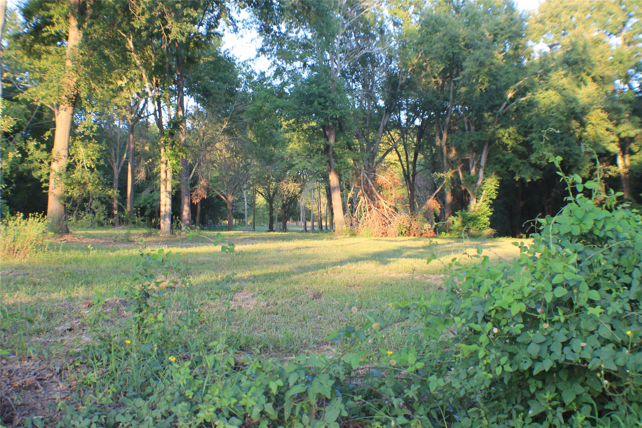 1006 Cream Level Road