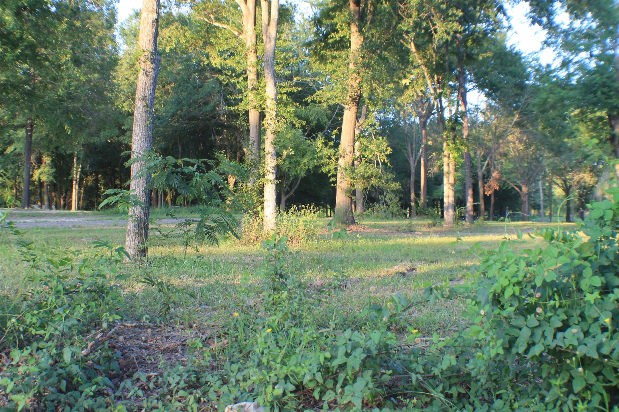 1006 Cream Level Road