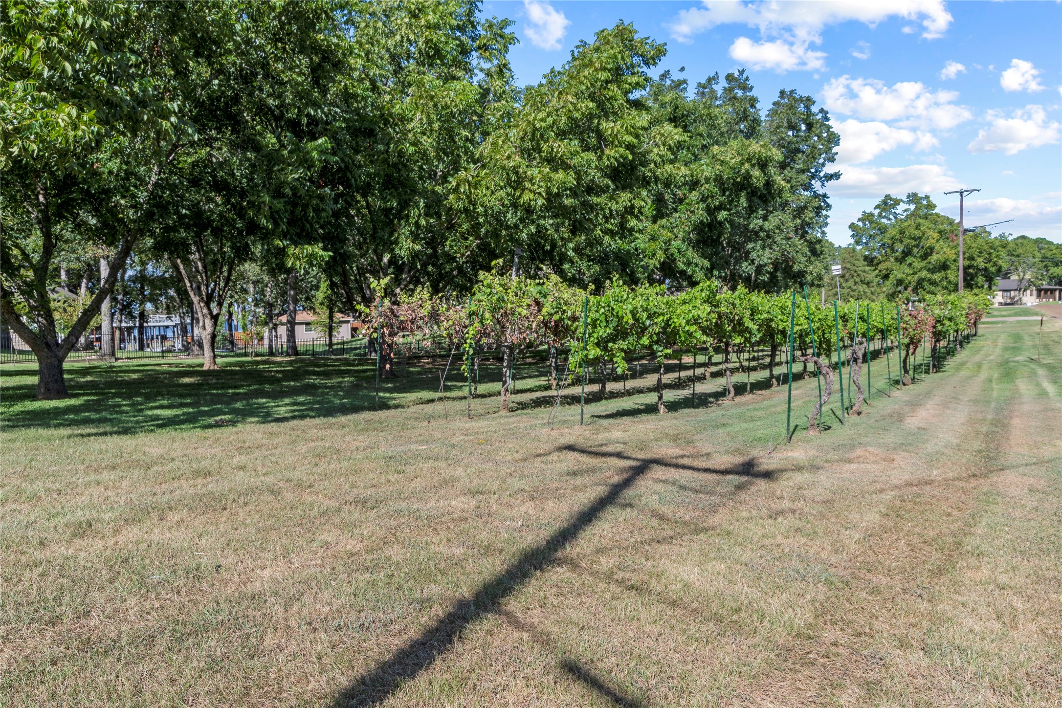 18730 Buddy Ruth Road