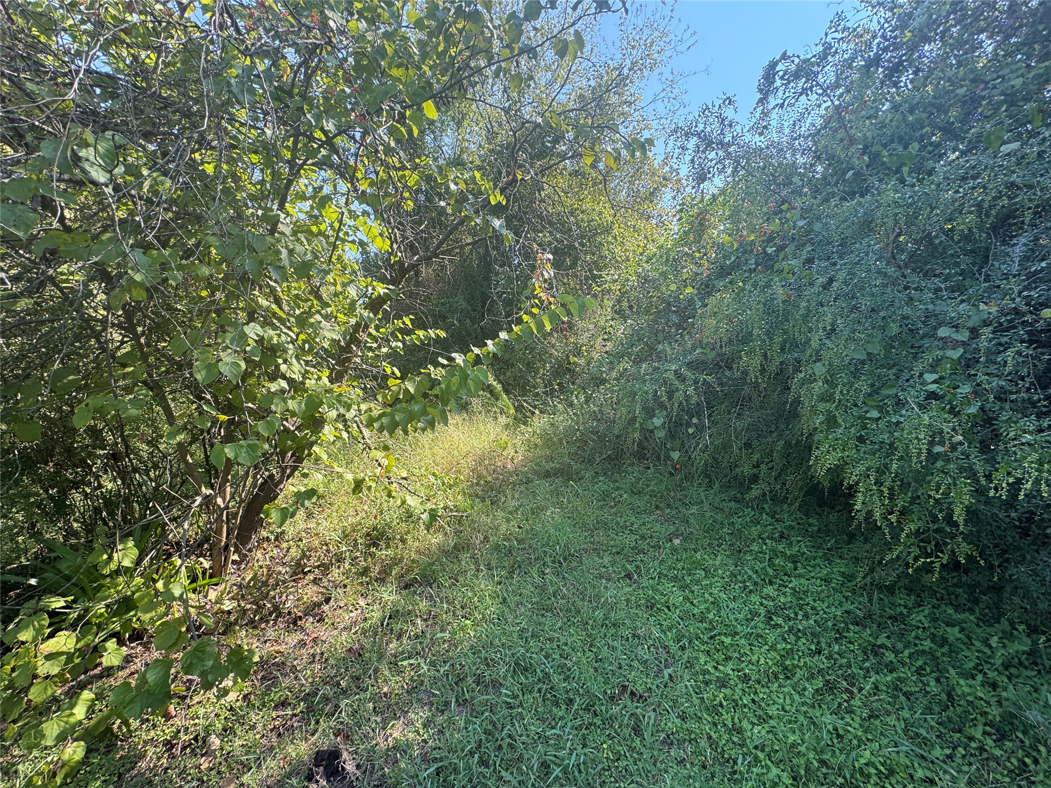 204 N Shannon Street