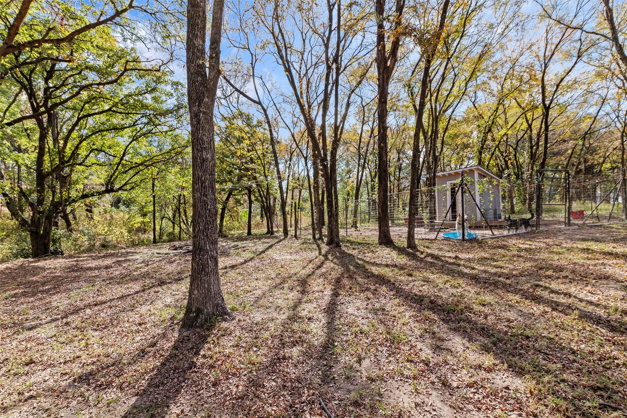 313 Cedar Creek Landing Lane
