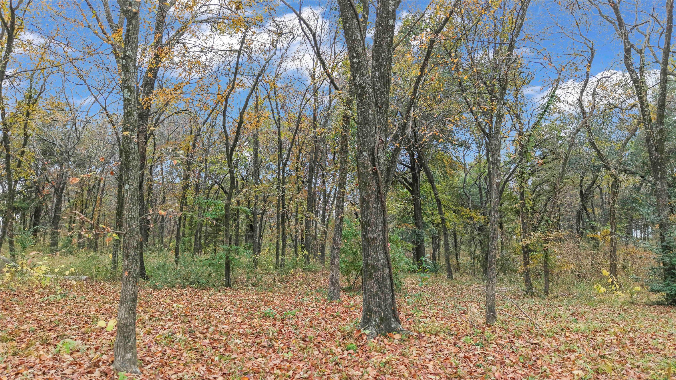 0 Cedar Creek Landing Lane