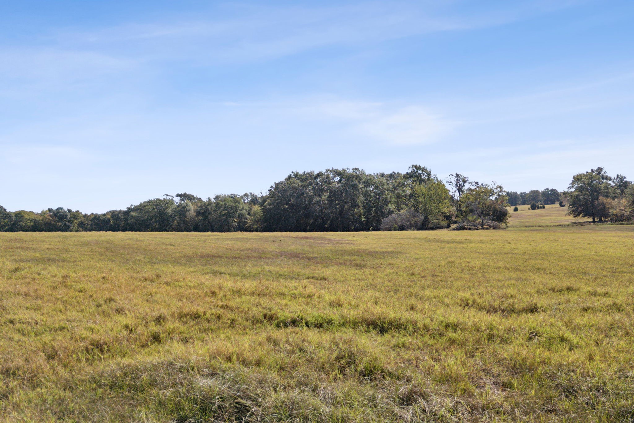 1133 Vz County Road 2413