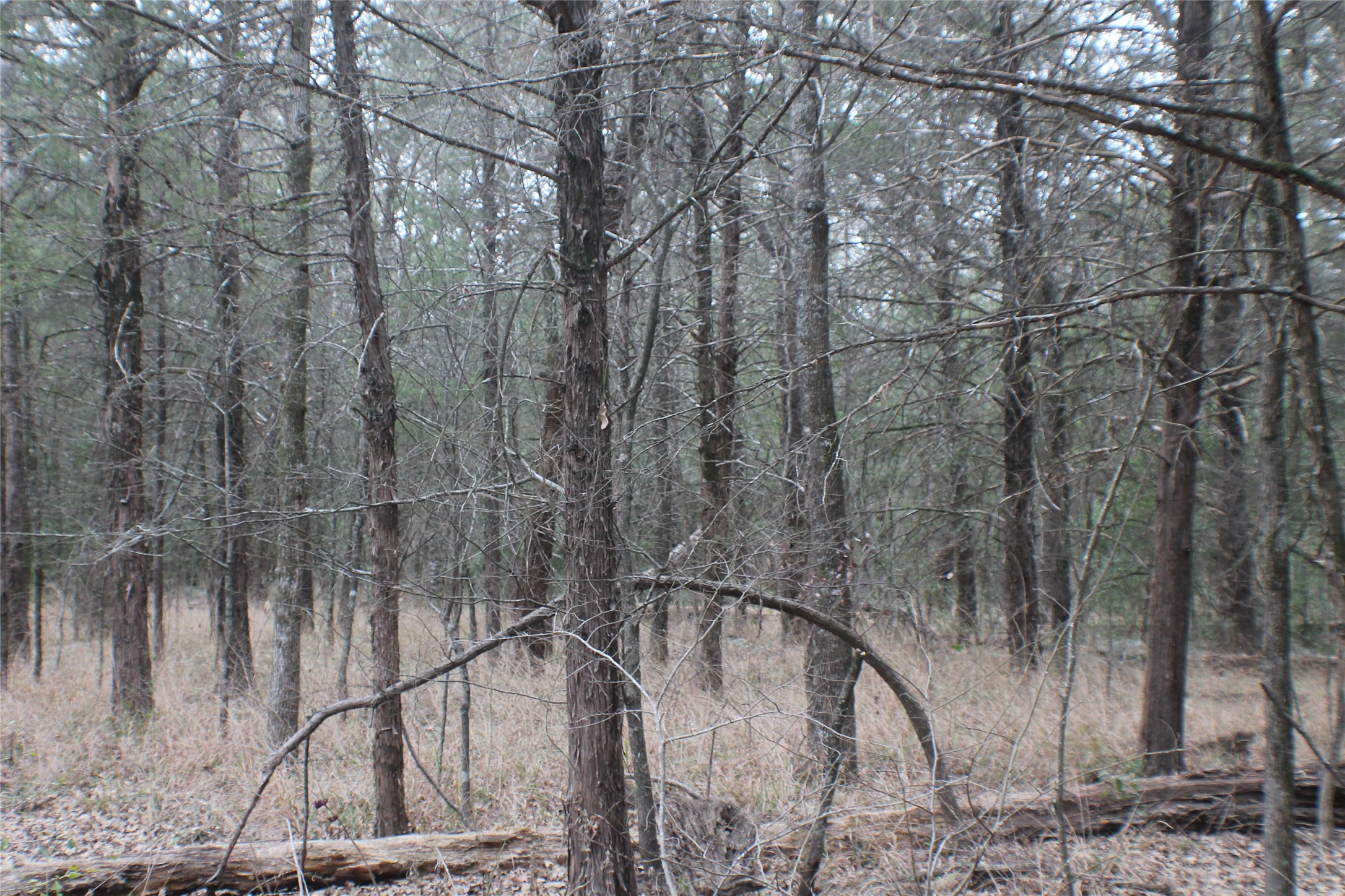 9603 County Road 2404