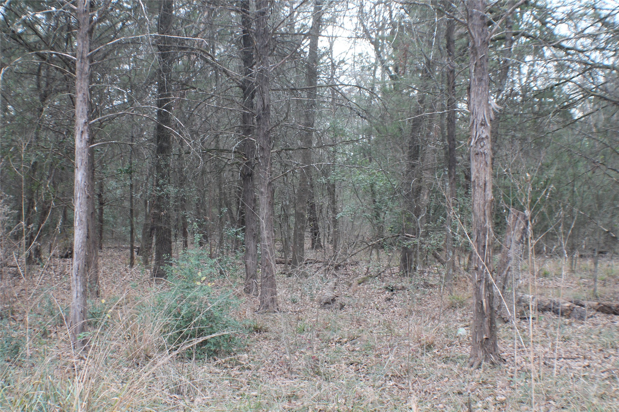 9603 County Road 2404