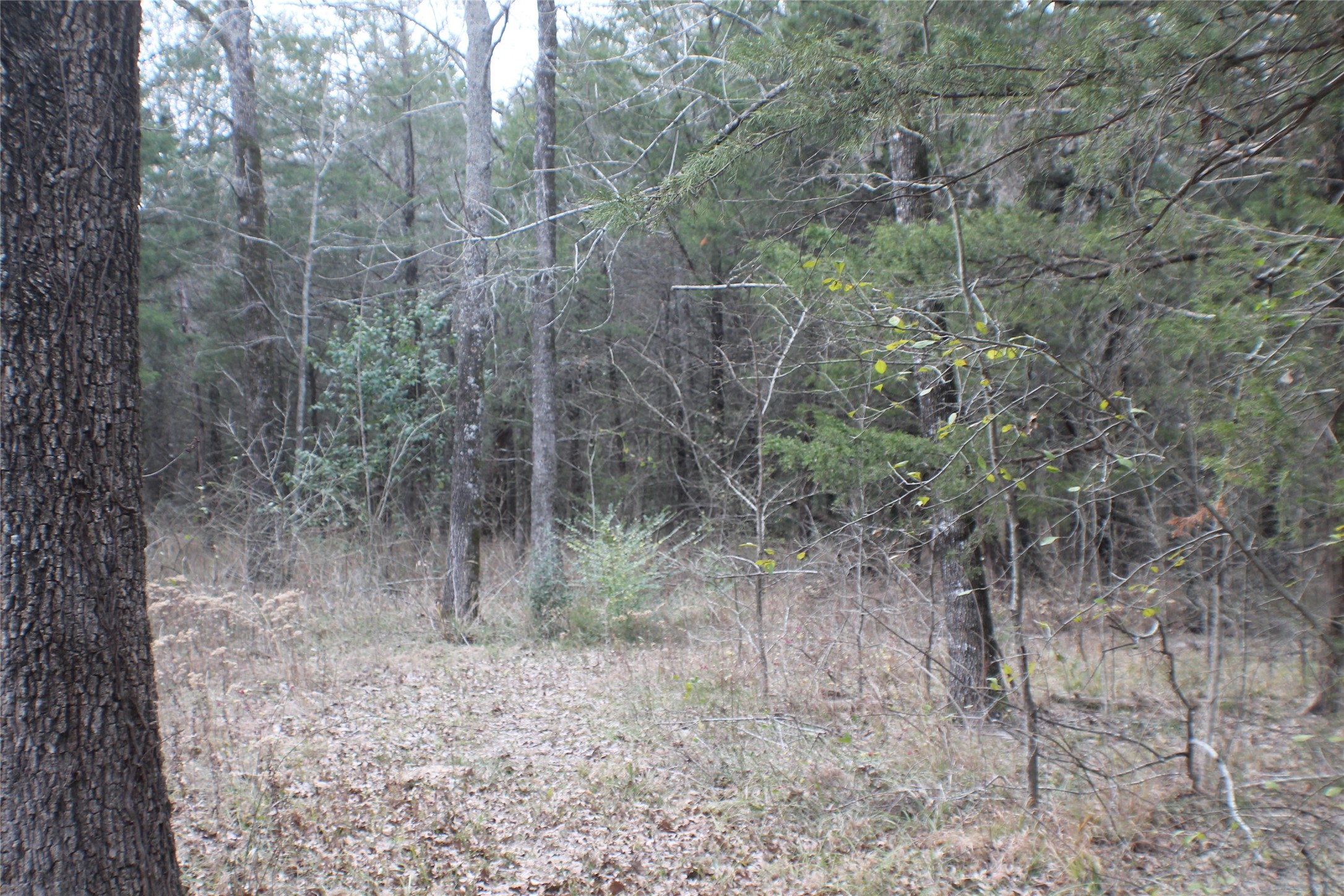 9603 County Road 2404