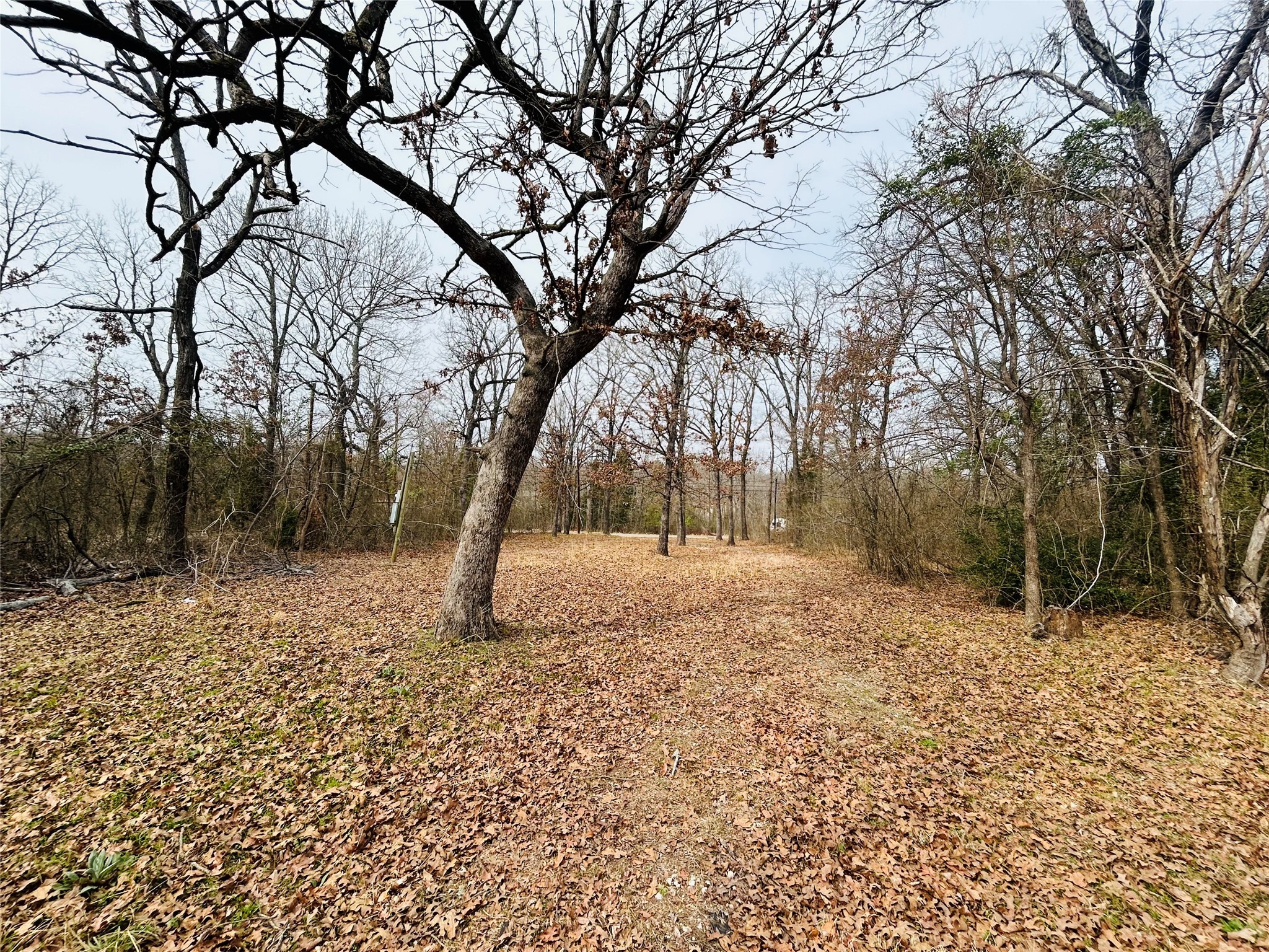 5226 Tom Hickman Lane