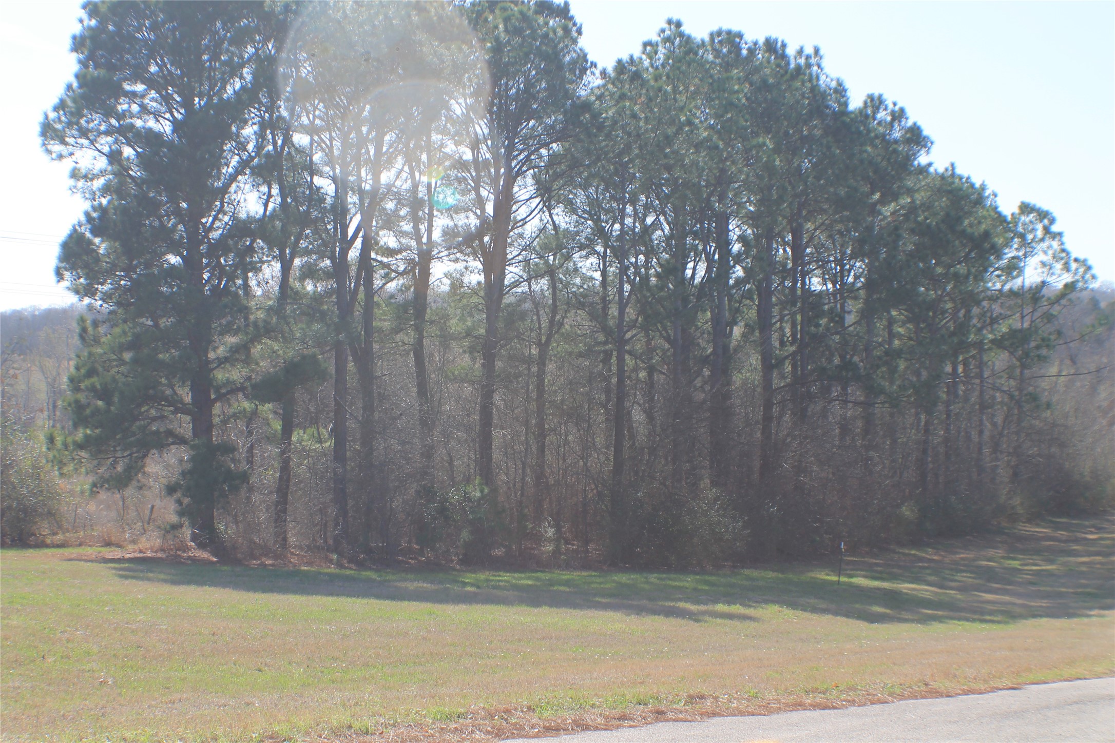 0 Lago Vista Drive