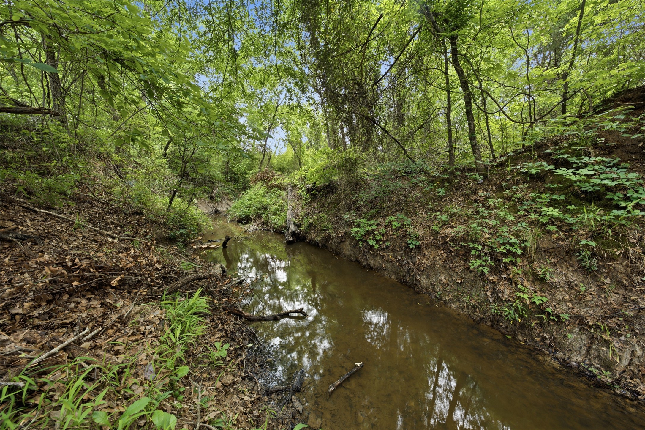 11222 County Road 1201