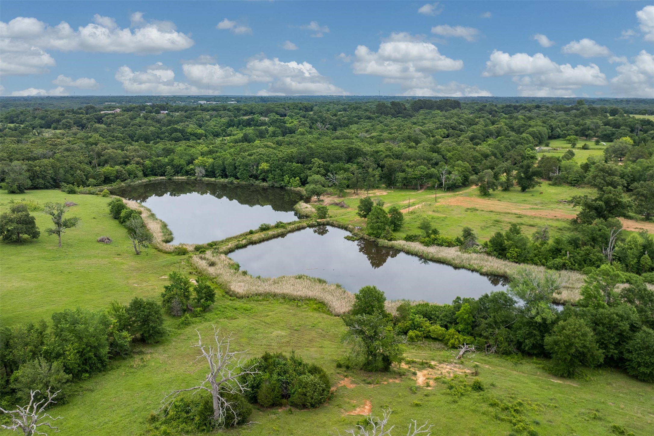 5520 County Road 1502