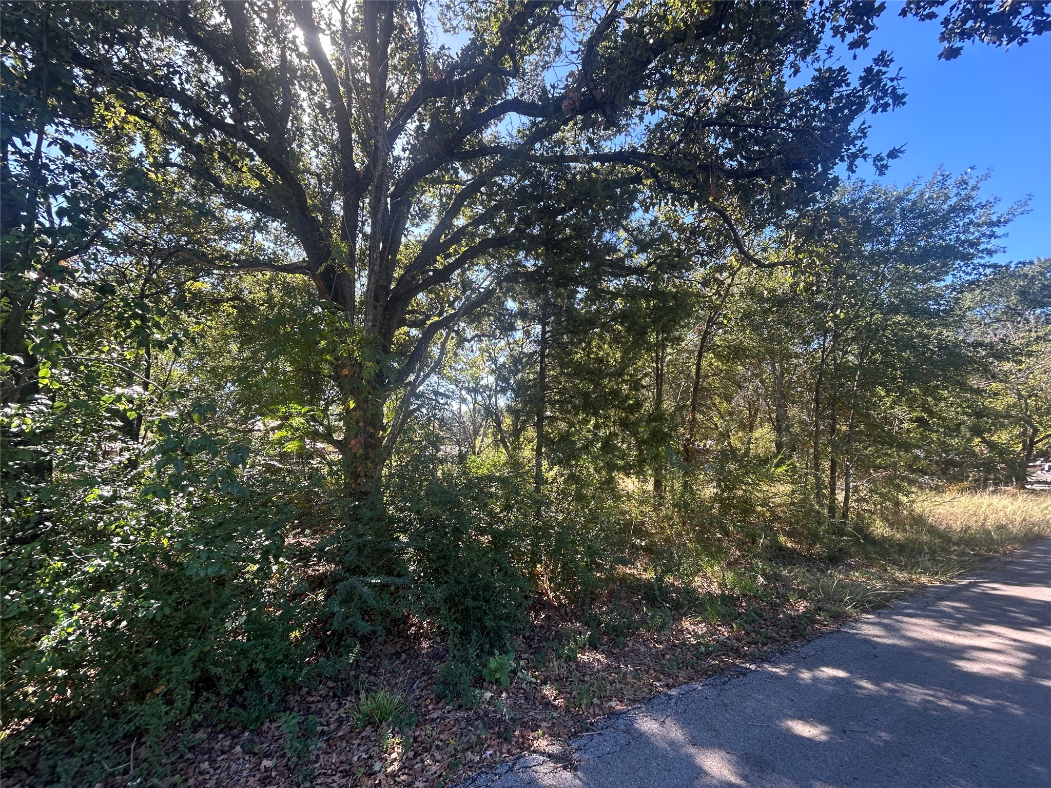 00 Bluebonnet Drive