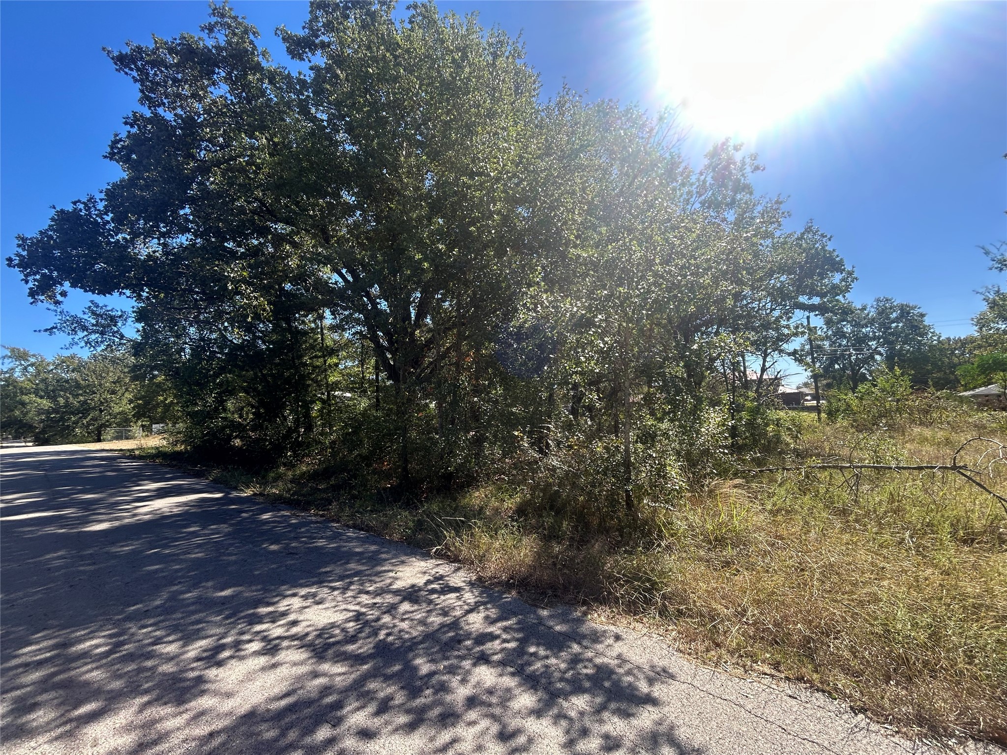 00 Bluebonnet Drive