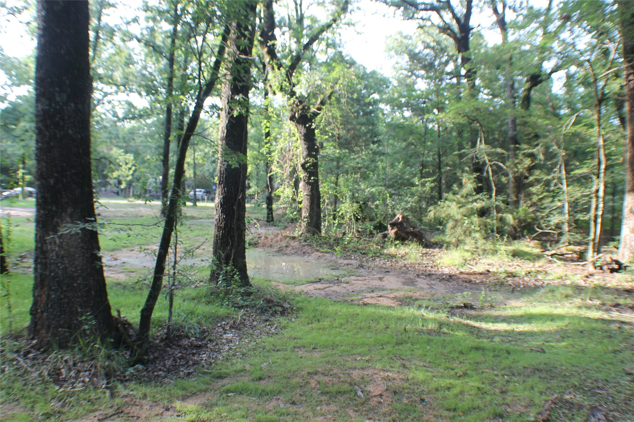 148 Golden Oaks Drive