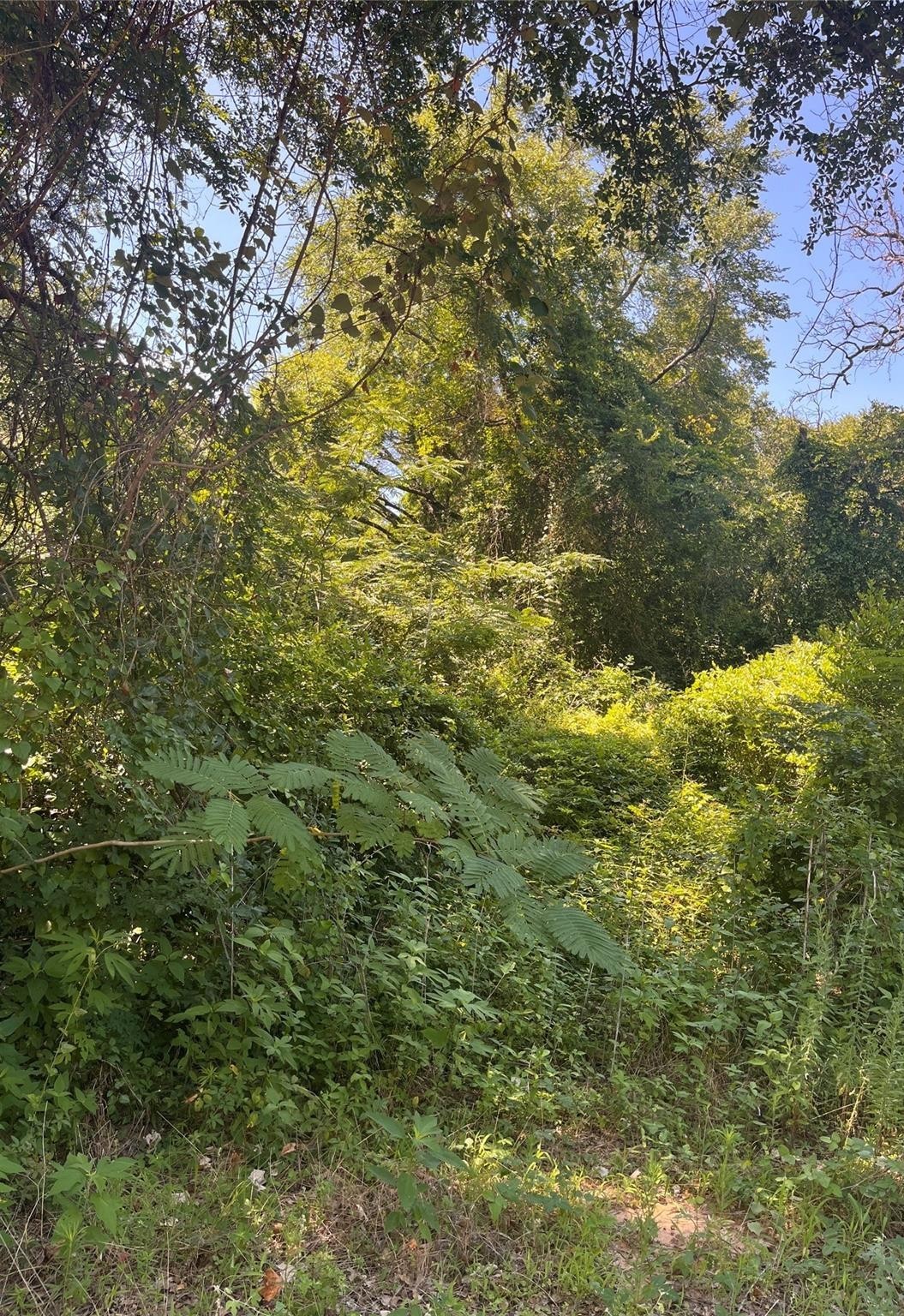 0 Ponderosa Drive