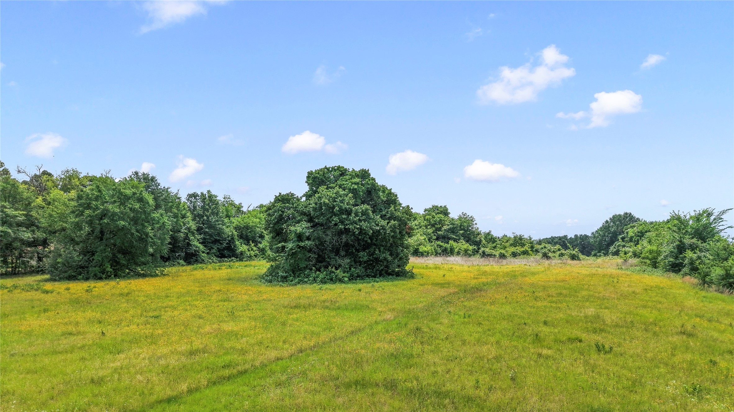 0 County Road 2300