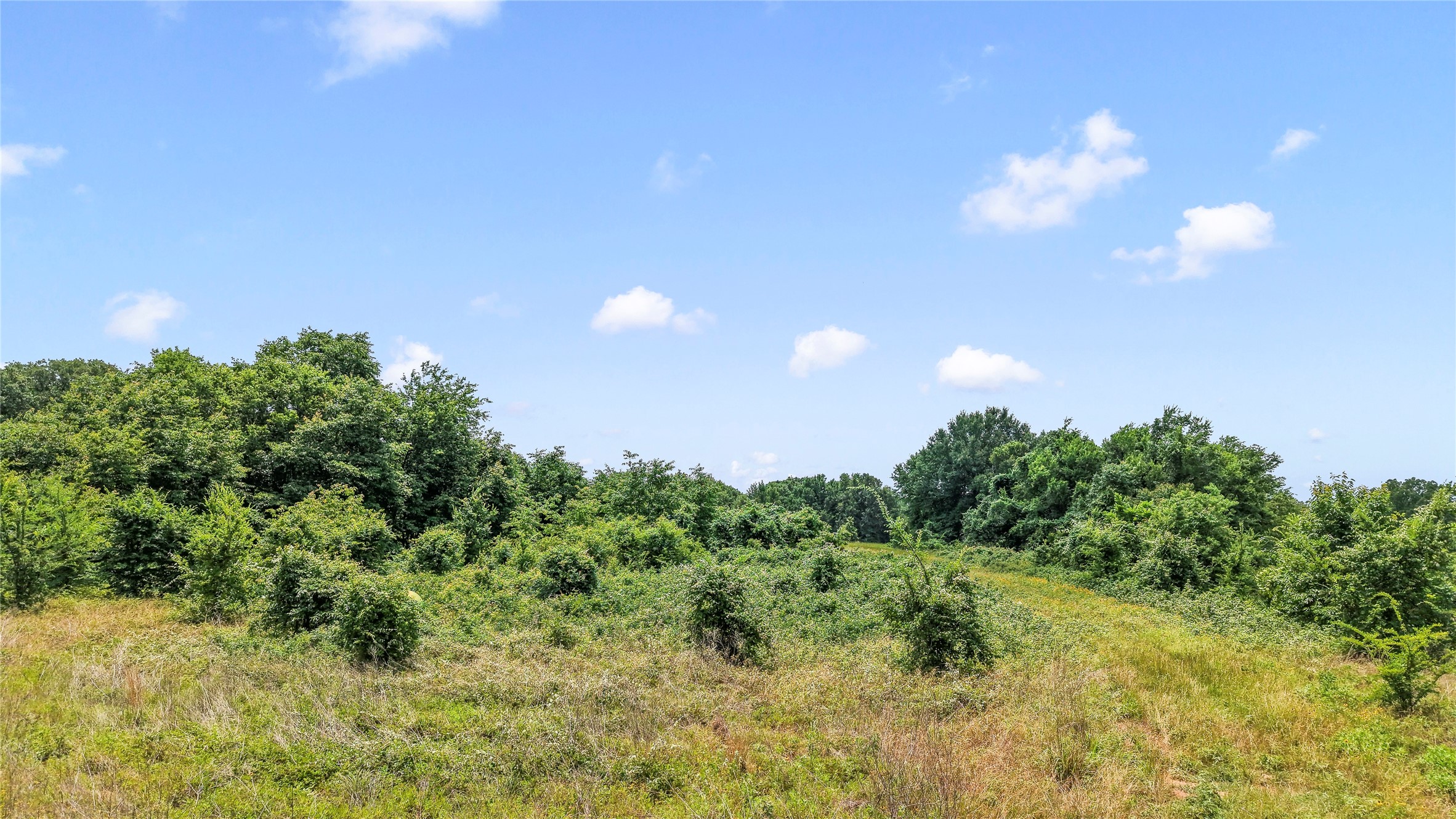 0 County Road 2300