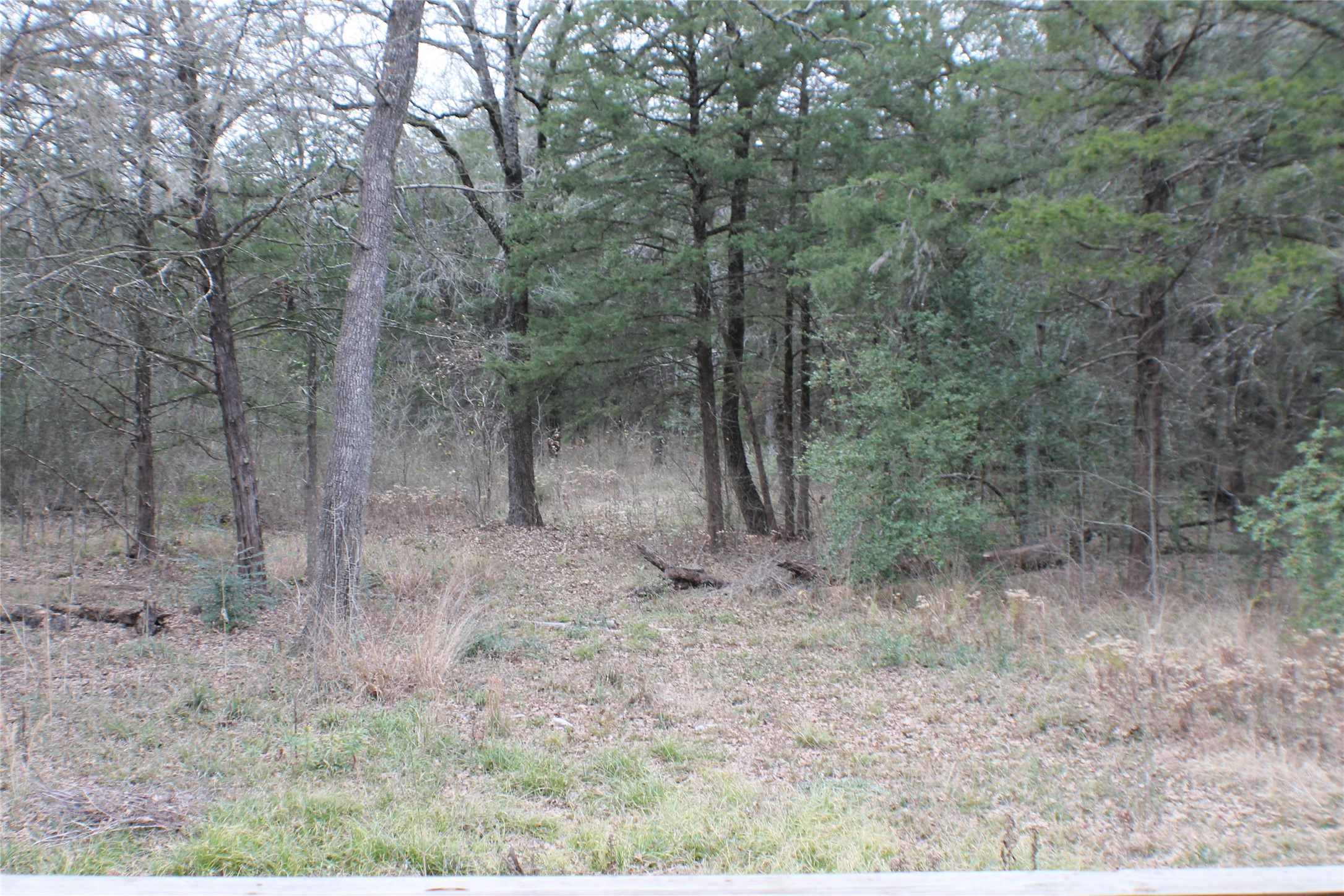 9603 County Road 2404
