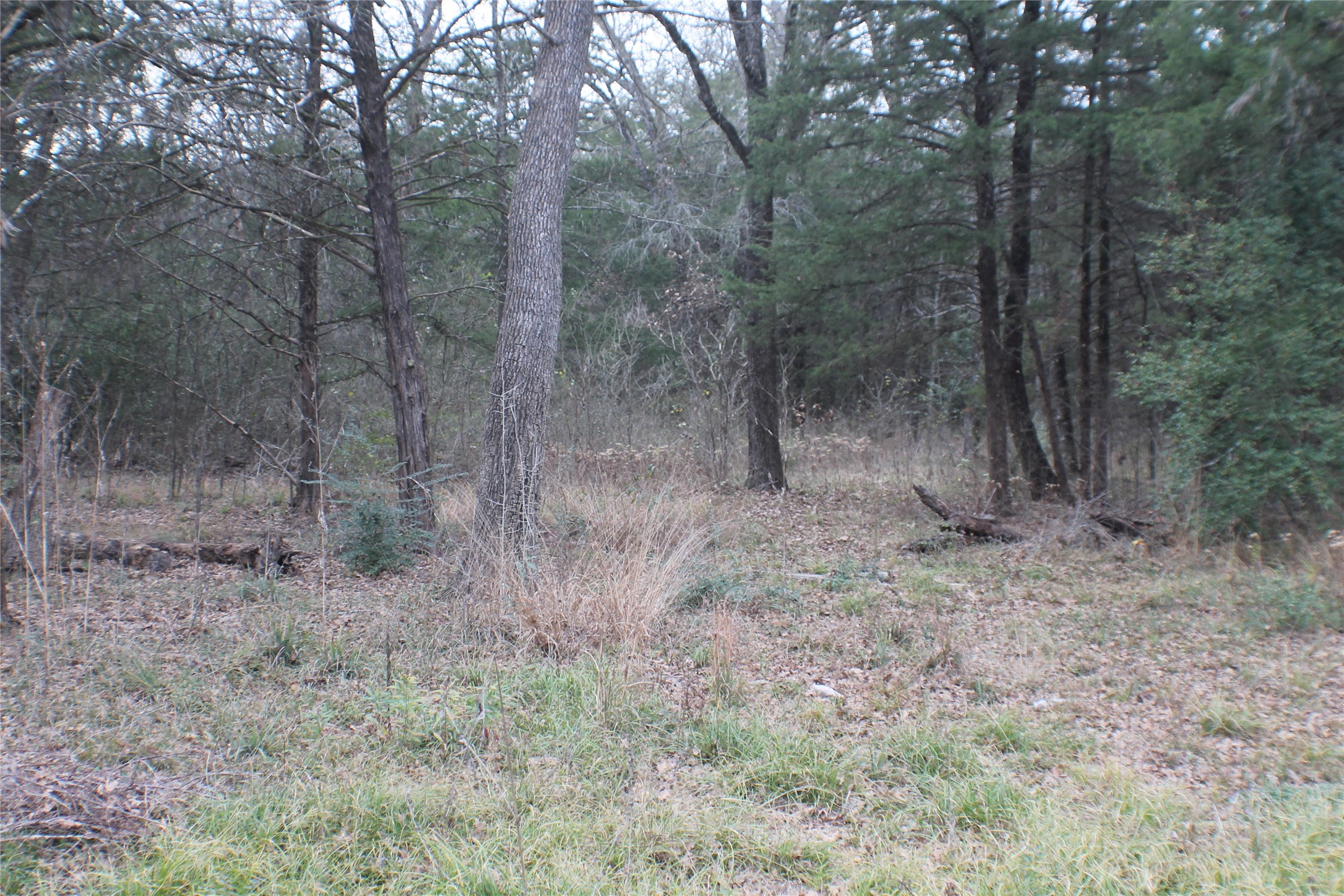9603 County Road 2404