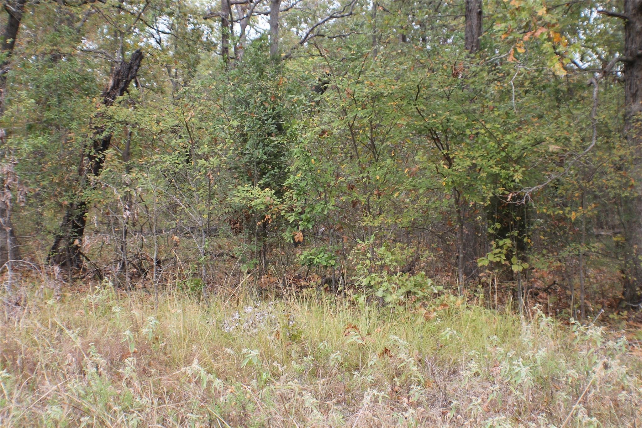 355 Buena Vista