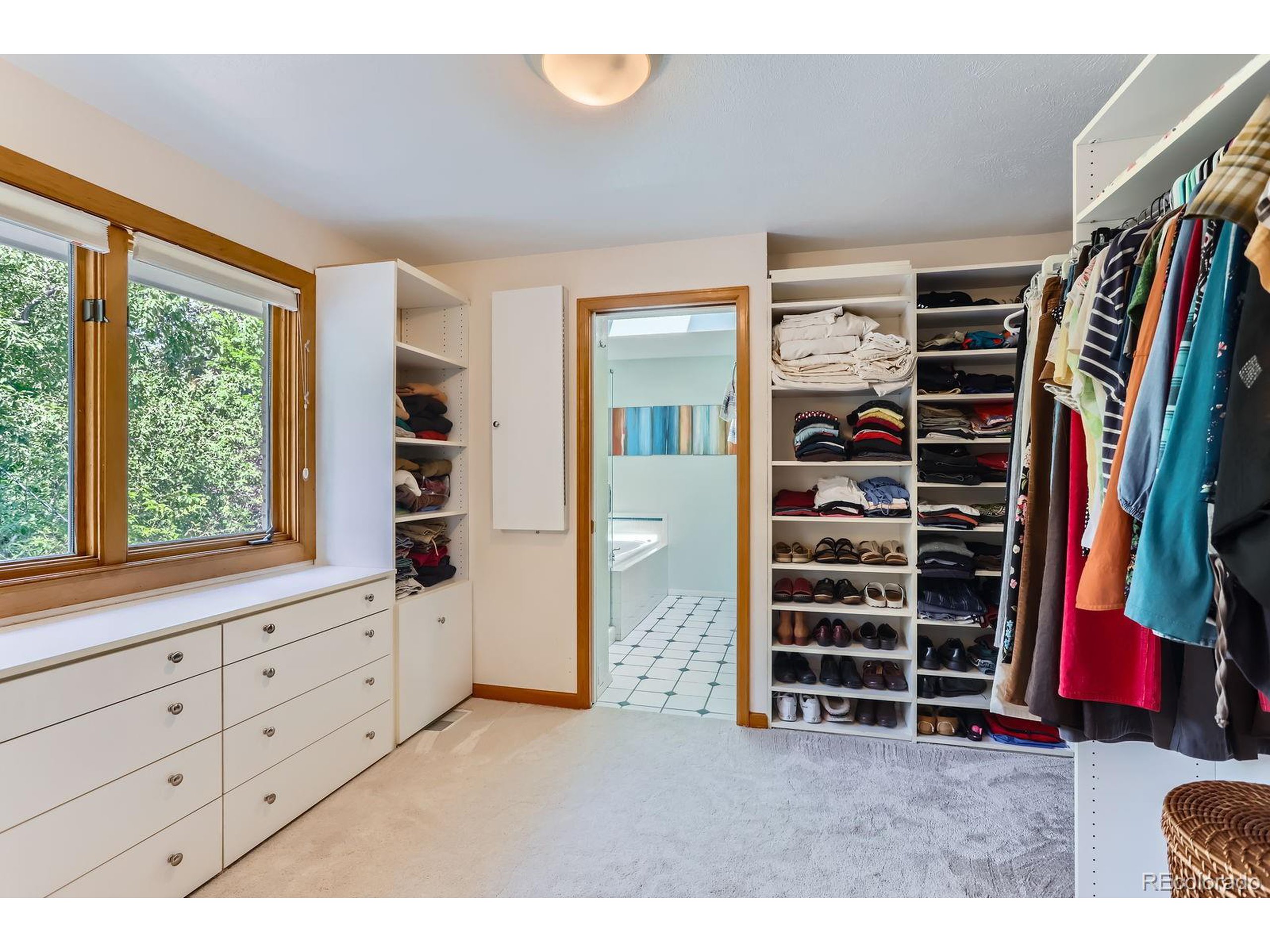 3495 Everett Dr