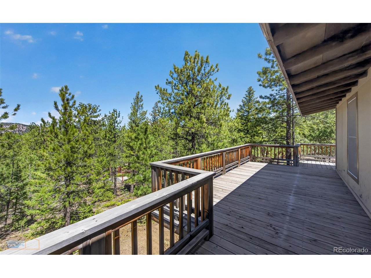 942 Spruce Dr