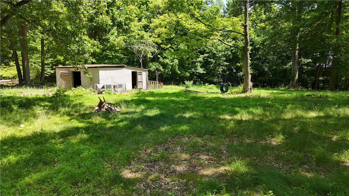 1219 Gringo Clinton Rd