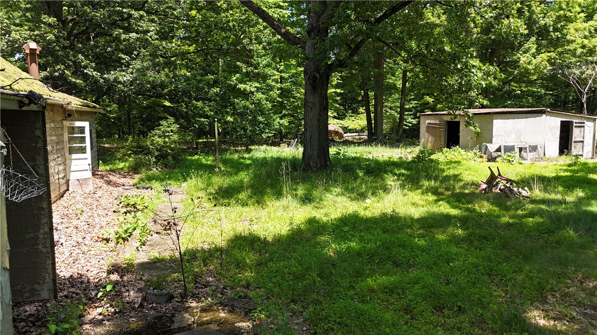 1219 Gringo Clinton Rd