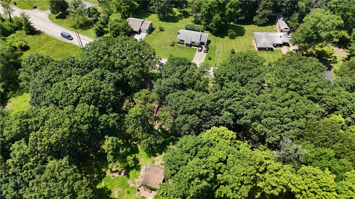1219 Gringo Clinton Rd